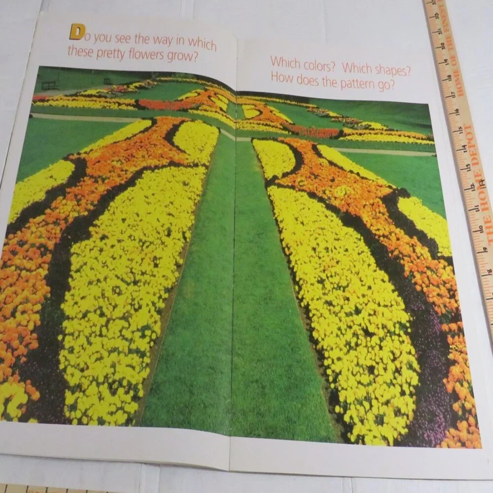 Patterns Everywhere BIG BOOK (almost 2 feet tall) with teacher pages CLASSROOM